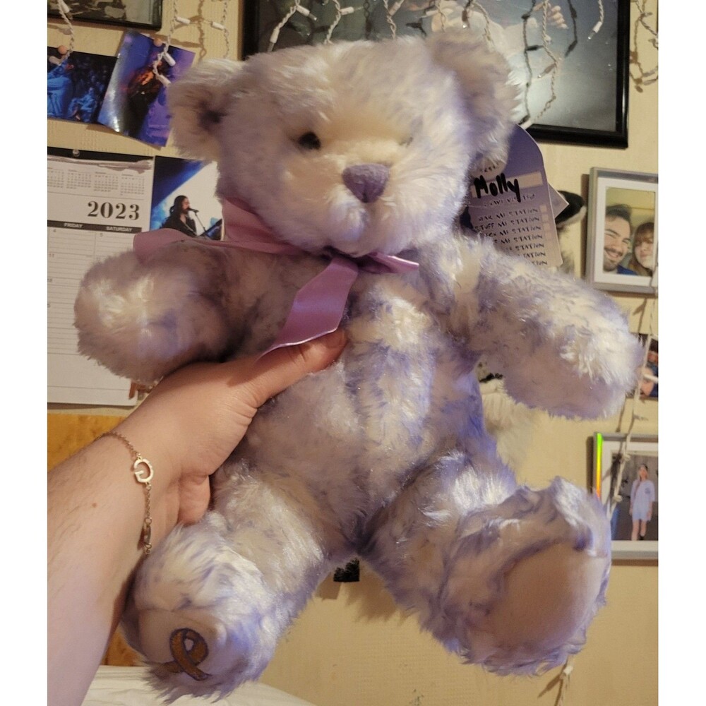 Build-A-Bear Nikki's Bear Plush Version 1